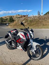 Benelli BN 251 - 2021