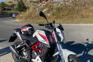 Benelli BN 251 - 2021