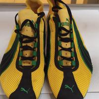 scarpe da ginnastica 