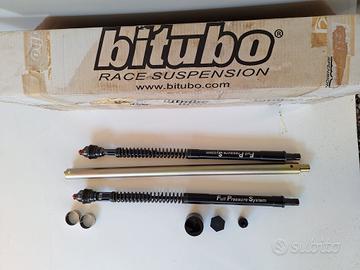 Pezzi Triumph Daytona 675 cartuccia pressurizzata