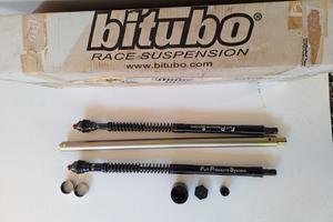 Pezzi Triumph Daytona 675 cartuccia pressurizzata