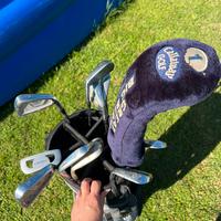 Mazze da golf e sacche