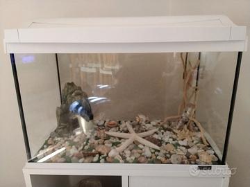 Acquario Tetra 60 lt