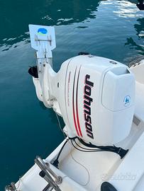 Johnson - Suzuki  70 4t