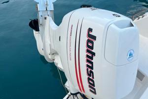 Johnson - Suzuki  70 4t