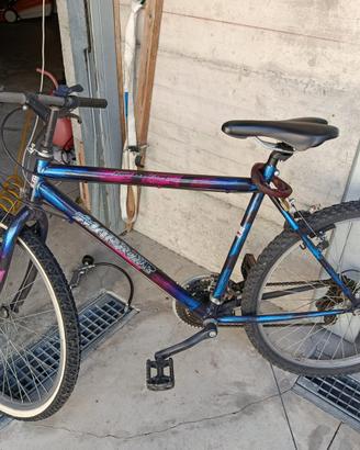 Bici uomo