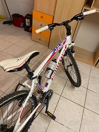 Bicicletta Bottecchia