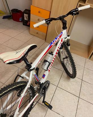 Bicicletta Bottecchia