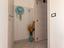 Immagine 12