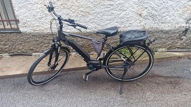 bicicletta elettrica 