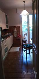 Appartamento libero DICEMBRE