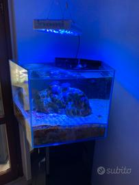 Acquario pentagonale girevole 360gradi