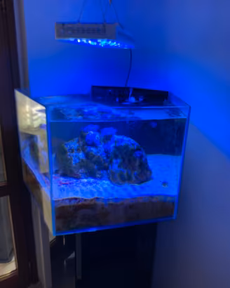 Acquario pentagonale girevole 360gradi