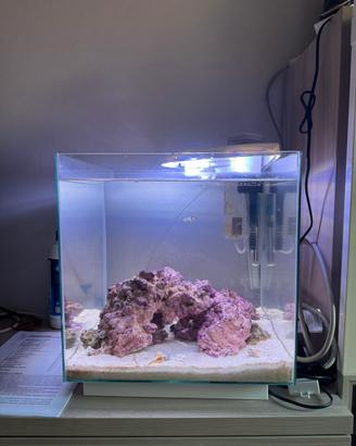 Acquario marino