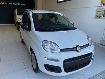 FIAT Panda 1.0 FireFly S&S Hybrid Icon