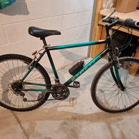 Mountain bike  Bici 