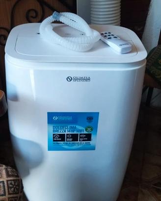 Climatizzatore portatile