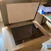 Scanner Epson A3