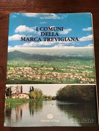 Libro I Comuni della Marca Trevigiana