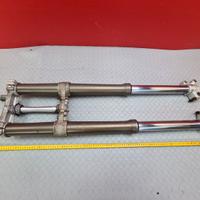 STELI FORCELLA TM MX 125 2000 2001 EN 1999 2002