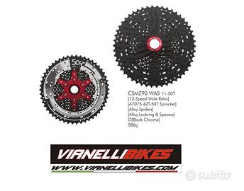 PACCO PIGNONI SUNRACE CSMZ90 11-50 12 SPEED HG