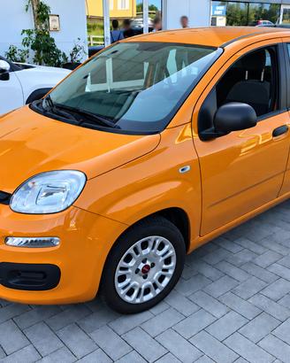 Fiat Panda 1.0 FireFly S&S Hybrid City Cross