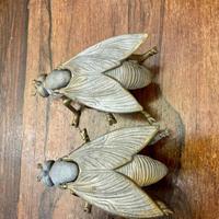 Fuoritutto splendida coppia di oggetti design ‘70