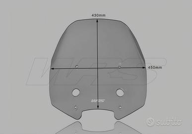 Cupolino WRS  per kawasaki versys