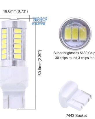 LAMPADA LED T20 BIANCA 33 LED SMS CANBUS