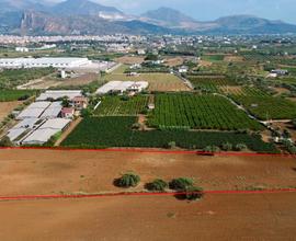 Terreno agricolo a Partinico, Contrada Pacino
