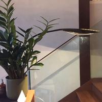 Lampada ta tavolo FOLIA Linea Light led carbonio