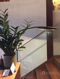 Lampada ta tavolo FOLIA Linea Light led carbonio