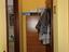 Immagine 6
