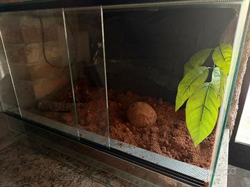 Teca per animali esotici