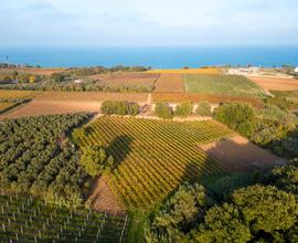 Terreno agricolo Fossacesia costa dei trabocchi