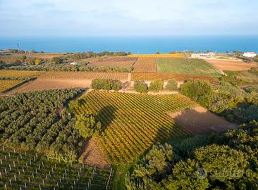 Terreno agricolo Fossacesia costa dei trabocchi