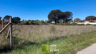 Terreno agricolo 5.000 mq ca. vicino il lungomare