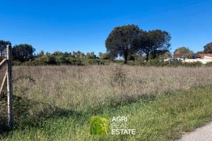 Terreno agricolo 5.000 mq ca. vicino il lungomare
