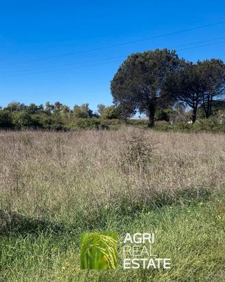 Terreno agricolo 5.000 mq ca. vicino il lungomare