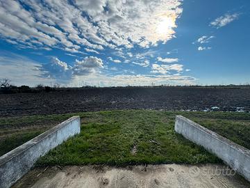 Terreno agricolo Prozzolo di Camponogara