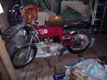 Benelli moto B