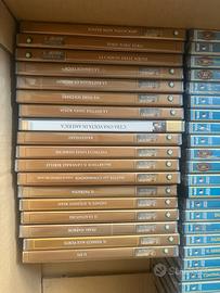 Lotto dvd