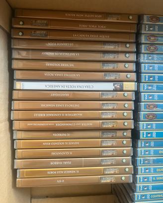 Lotto dvd