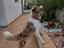 Immagine 5