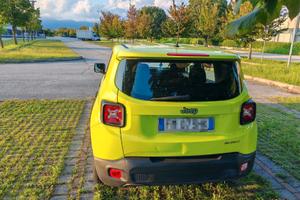 renegade autopatentati