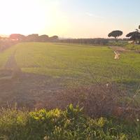 Disponibile per lavori di giardinaggio