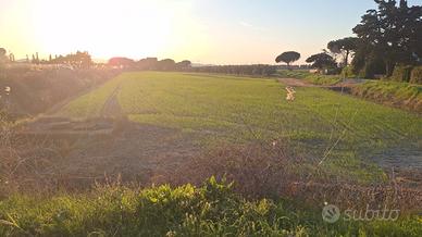 Disponibile per lavori di giardinaggio