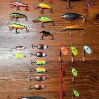 Artificiali spinning bass persico perca aspio