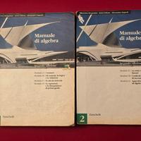 SET Manuale di Algebra 1+2 (Seconda ed.) – Bergami