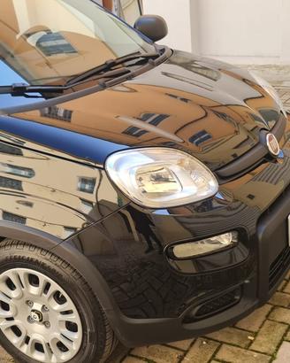 FIAT PANDA HYBRID